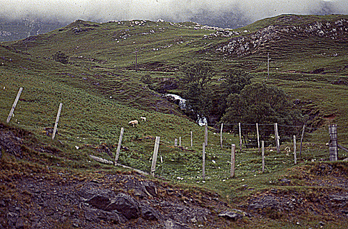 118_Western Scotland.jpg